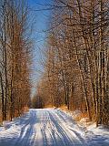 Snowy Backroad_05402